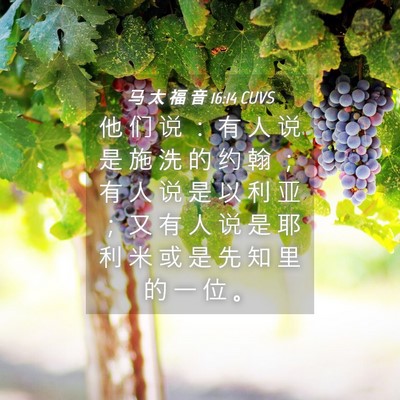 Picture 04 - 马 太 福 音 16:14 CUVS - 他 们 说 ： 有 人 说 是 施 洗 的 约 - Bible Verse Picture
