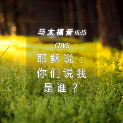 Picture 04 - 马 太 福 音 16:15 CUVS - 耶 稣 说 ： 你 们 说 我 是 谁 - Bible Verse Picture