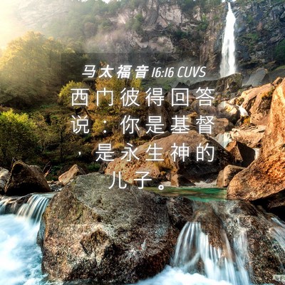 Picture 04 - 马 太 福 音 16:16 CUVS - 西 门 彼 得 回 答 说 ： 你 是 基 督 - Bible Verse Picture