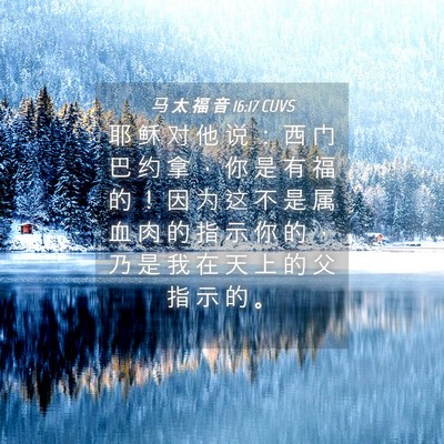 Picture 04 - 马 太 福 音 16:17 CUVS - 耶 稣 对 他 说 ： 西 门 巴 约 拿 ， - Bible Verse Picture