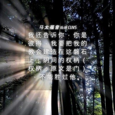 Picture 04 - 马 太 福 音 16:18 CUVS - 我 还 告 诉 你 ， 你 是 彼 得 ， 我 - Bible Verse Picture