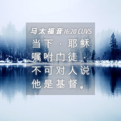 Picture 04 - 马 太 福 音 16:20 CUVS - 当 下 ， 耶 稣 嘱 咐 门 徒 ， 不 可 - Bible Verse Picture