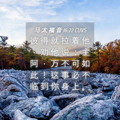 Picture 04 - 马 太 福 音 16:22 CUVS - 彼 得 就 拉 着 他 ， 劝 他 说 ： 主 - Bible Verse Picture