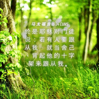 Picture 04 - 马 太 福 音 16:24 CUVS - 於 是 耶 稣 对 门 徒 说 ： 若 有 人 - Bible Verse Picture
