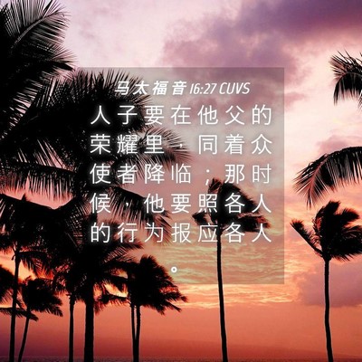 Picture 04 - 马 太 福 音 16:27 CUVS - 人 子 要 在 他 父 的 荣 耀 里 ， 同 - Bible Verse Picture