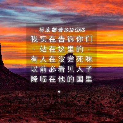Picture 04 - 马 太 福 音 16:28 CUVS - 我 实 在 告 诉 你 们 ， 站 在 这 里 - Bible Verse Picture