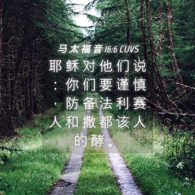 Picture 04 - 马 太 福 音 16:6 CUVS - 耶 稣 对 他 们 说 ： 你 们 要 谨 慎 - Bible Verse Picture