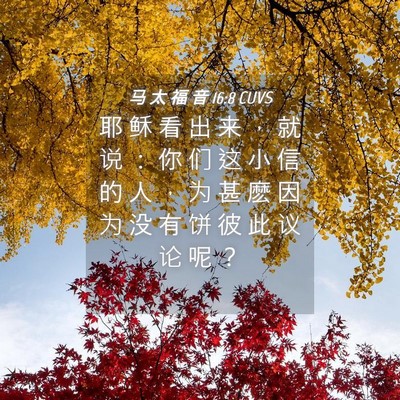 Picture 04 - 马 太 福 音 16:8 CUVS - 耶 稣 看 出 来 ， 就 说 ： 你 们 这 - Bible Verse Picture