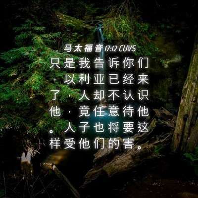 Picture 04 - 马 太 福 音 17:12 CUVS - 只 是 我 告 诉 你 们 ， 以 利 亚 已 - Bible Verse Picture