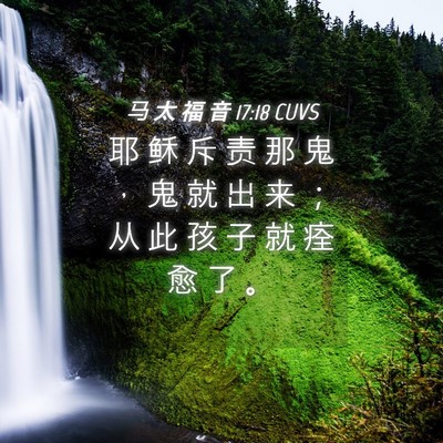Picture 04 - 马 太 福 音 17:18 CUVS - 耶 稣 斥 责 那 鬼 ， 鬼 就 出 来 ； - Bible Verse Picture