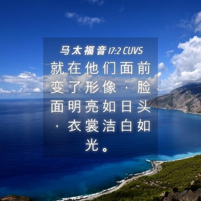 Picture 04 - 马 太 福 音 17:2 CUVS - 就 在 他 们 面 前 变 了 形 像 ， 脸 - Bible Verse Picture