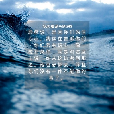 Picture 04 - 马 太 福 音 17:20 CUVS - 耶 稣 说 ： 是 因 你 们 的 信 心 小 - Bible Verse Picture