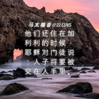 Picture 04 - 马 太 福 音 17:22 CUVS - 他 们 还 住 在 加 利 利 的 时 候 ， - Bible Verse Picture