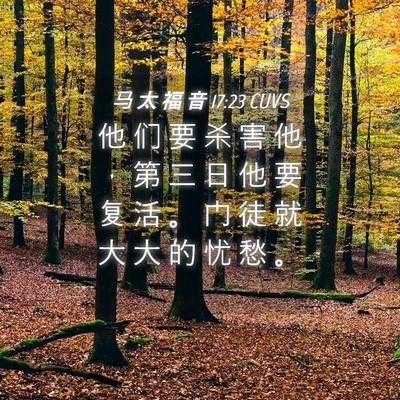 Picture 04 - 马 太 福 音 17:23 CUVS - 他 们 要 杀 害 他 ， 第 三 日 他 要 - Bible Verse Picture