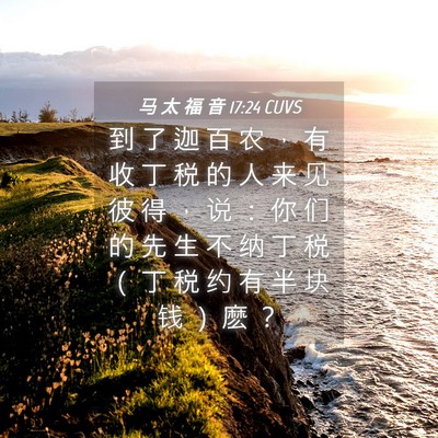 Picture 04 - 马 太 福 音 17:24 CUVS - 到 了 迦 百 农 ， 有 收 丁 税 的 人 - Bible Verse Picture