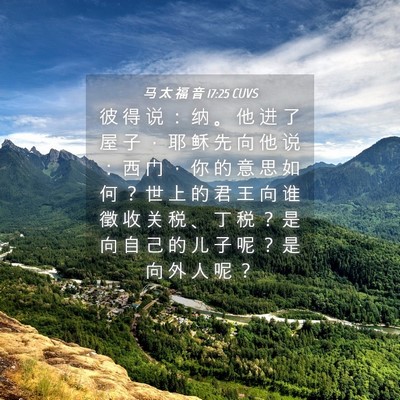 Picture 04 - 马 太 福 音 17:25 CUVS - 彼 得 说 ： 纳 。 他 进 了 屋 子 ， - Bible Verse Picture