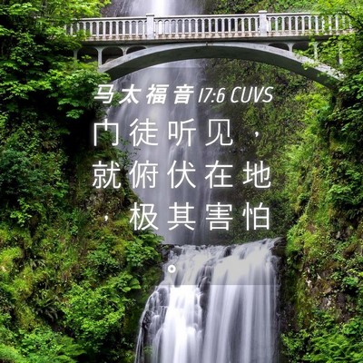 Picture 04 - 马 太 福 音 17:6 CUVS - 门 徒 听 见 ， 就 俯 伏 在 地 ， 极 - Bible Verse Picture