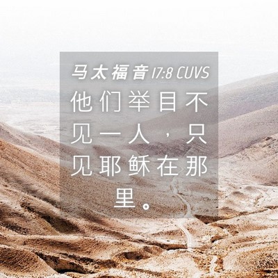 Picture 04 - 马 太 福 音 17:8 CUVS - 他 们 举 目 不 见 一 人 ， 只 见 耶 - Bible Verse Picture