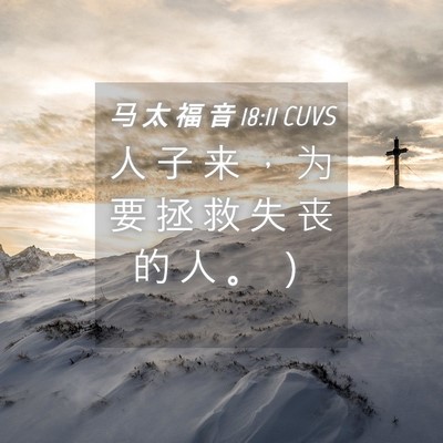 Picture 04 - 马 太 福 音 18:11 CUVS - 人 子 来 ， 为 要 拯 救 失 丧 的 人 - Bible Verse Picture