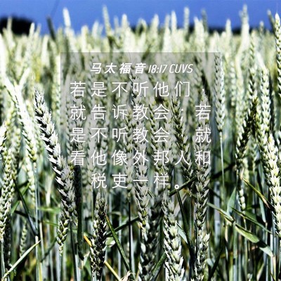 Picture 04 - 马 太 福 音 18:17 CUVS - 若 是 不 听 他 们 ， 就 告 诉 教 会 - Bible Verse Picture