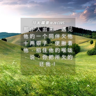 Picture 04 - 马 太 福 音 18:28 CUVS - 那 仆 人 出 来 ， 遇 见 他 的 一 个 - Bible Verse Picture
