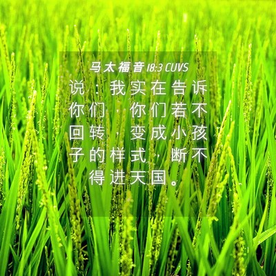Picture 04 - 马 太 福 音 18:3 CUVS - 说 ： 我 实 在 告 诉 你 们 ， 你 们 - Bible Verse Picture