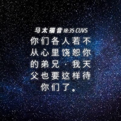 Picture 04 - 马 太 福 音 18:35 CUVS - 你 们 各 人 若 不 从 心 里 饶 恕 你 - Bible Verse Picture