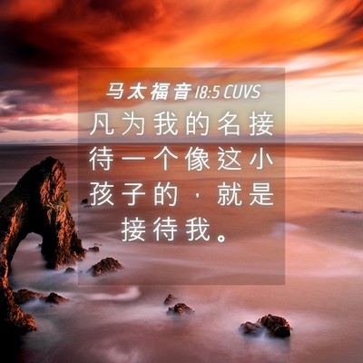 Picture 04 - 马 太 福 音 18:5 CUVS - 凡 为 我 的 名 接 待 一 个 像 这 小 - Bible Verse Picture
