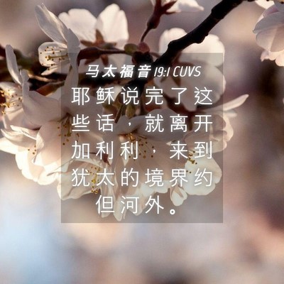 Picture 04 - 马 太 福 音 19:1 CUVS - 耶 稣 说 完 了 这 些 话 ， 就 离 开 - Bible Verse Picture