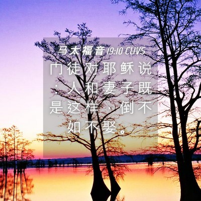 Picture 04 - 马 太 福 音 19:10 CUVS - 门 徒 对 耶 稣 说 ： 人 和 妻 子 既 - Bible Verse Picture