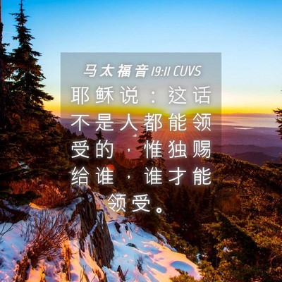 Picture 04 - 马 太 福 音 19:11 CUVS - 耶 稣 说 ： 这 话 不 是 人 都 能 领 - Bible Verse Picture