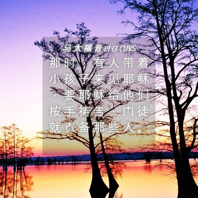 Picture 04 - 马 太 福 音 19:13 CUVS - 那 时 ， 有 人 带 着 小 孩 子 来 见 - Bible Verse Picture