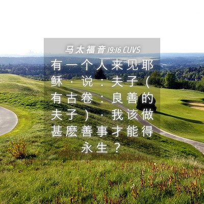 Picture 04 - 马 太 福 音 19:16 CUVS - 有 一 个 人 来 见 耶 稣 ， 说 ： 夫 - Bible Verse Picture