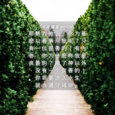 Picture 04 - 马 太 福 音 19:17 CUVS - 耶 稣 对 他 说 ： 你 为 甚 麽 以 善 - Bible Verse Picture