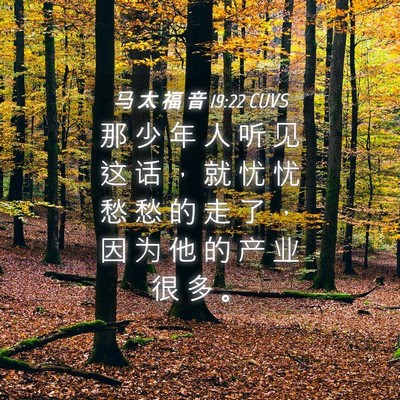 Picture 04 - 马 太 福 音 19:22 CUVS - 那 少 年 人 听 见 这 话 ， 就 忧 忧 - Bible Verse Picture