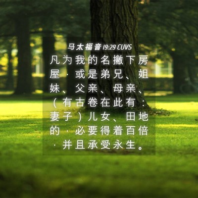 Picture 04 - 马 太 福 音 19:29 CUVS - 凡 为 我 的 名 撇 下 房 屋 ， 或 是 - Bible Verse Picture