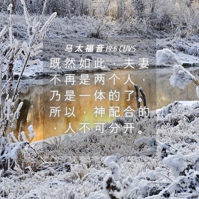Picture 04 - 马 太 福 音 19:6 CUVS - 既 然 如 此 ， 夫 妻 不 再 是 两 个 - Bible Verse Picture