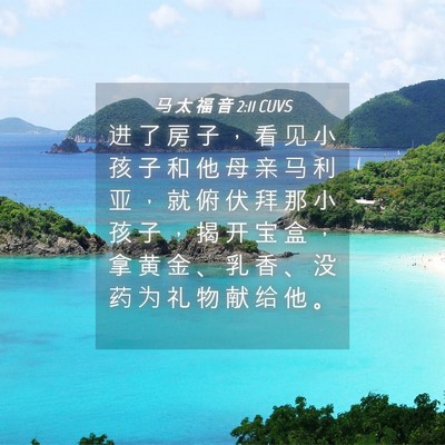 Picture 04 - 马 太 福 音 2:11 CUVS - 进 了 房 子 ， 看 见 小 孩 子 和 他 - Bible Verse Picture
