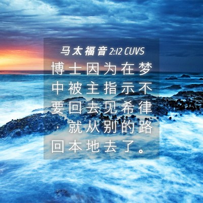 Picture 04 - 马 太 福 音 2:12 CUVS - 博 士 因 为 在 梦 中 被 主 指 示 不 - Bible Verse Picture