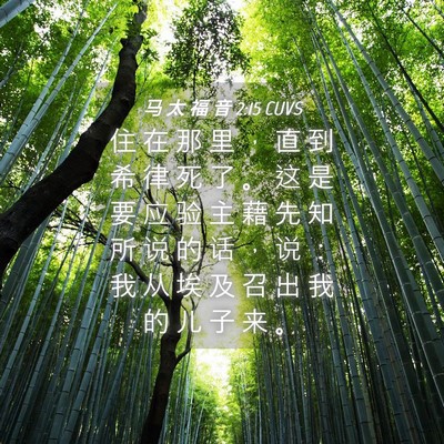 Picture 04 - 马 太 福 音 2:15 CUVS - 住 在 那 里 ， 直 到 希 律 死 了 。 - Bible Verse Picture