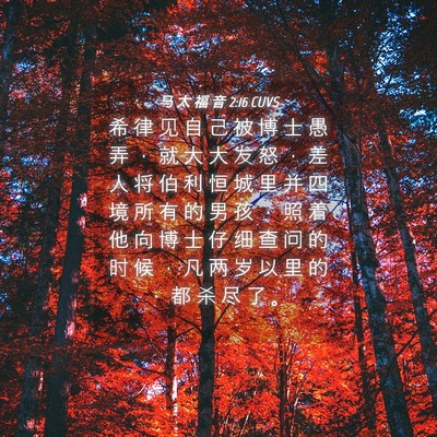 Picture 04 - 马 太 福 音 2:16 CUVS - 希 律 见 自 己 被 博 士 愚 弄 ， 就 - Bible Verse Picture