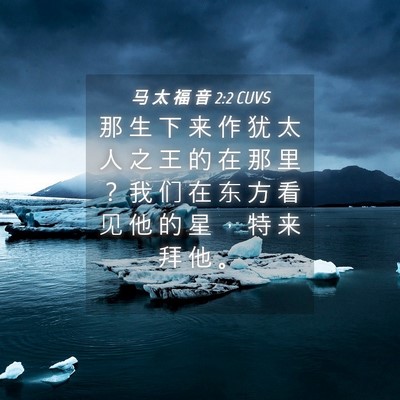 Picture 04 - 马 太 福 音 2:2 CUVS - 那 生 下 来 作 犹 太 人 之 王 的 在 - Bible Verse Picture