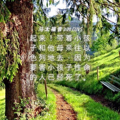 Picture 04 - 马 太 福 音 2:20 CUVS - 起 来 ！ 带 着 小 孩 子 和 他 母 亲 - Bible Verse Picture