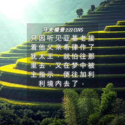 Picture 04 - 马 太 福 音 2:22 CUVS - 只 因 听 见 亚 基 老 接 着 他 父 亲 - Bible Verse Picture
