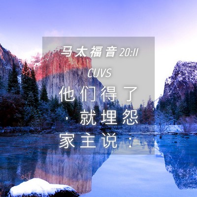 Picture 04 - 马 太 福 音 20:11 CUVS - 他 们 得 了 ， 就 埋 怨 家 主 说 - Bible Verse Picture