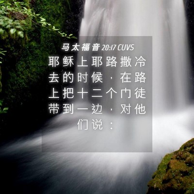 Picture 04 - 马 太 福 音 20:17 CUVS - 耶 稣 上 耶 路 撒 冷 去 的 时 候 ， - Bible Verse Picture