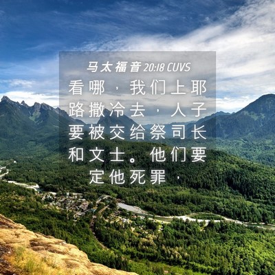 Picture 04 - 马 太 福 音 20:18 CUVS - 看 哪 ， 我 们 上 耶 路 撒 冷 去 ， - Bible Verse Picture