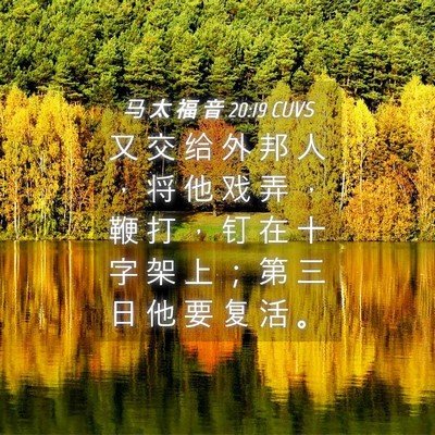 Picture 04 - 马 太 福 音 20:19 CUVS - 又 交 给 外 邦 人 ， 将 他 戏 弄 ， - Bible Verse Picture