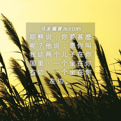 Picture 04 - 马 太 福 音 20:21 CUVS - 耶 稣 说 ： 你 要 甚 麽 呢 ？ 他 说 - Bible Verse Picture