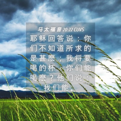 Picture 04 - 马 太 福 音 20:22 CUVS - 耶 稣 回 答 说 ： 你 们 不 知 道 所 - Bible Verse Picture